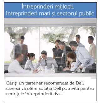 Întreprinderi mijlocii, întreprinderi mari şi sectorul public